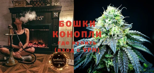 кокс Инсар