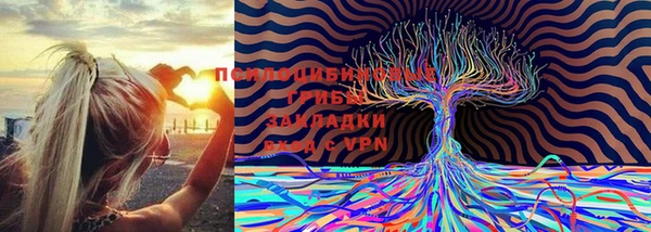 герыч Инта