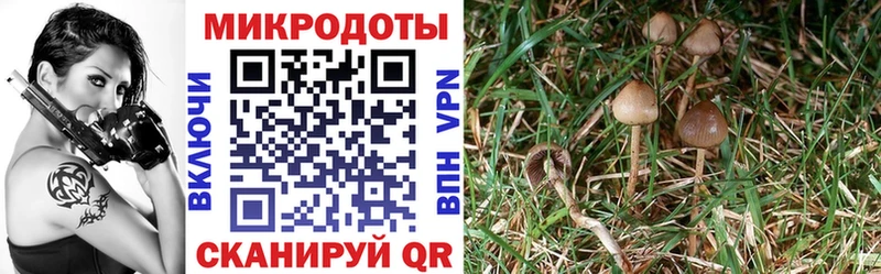 где можно купить   кракен как зайти  Галлюциногенные грибы Magic Shrooms  Инта 
